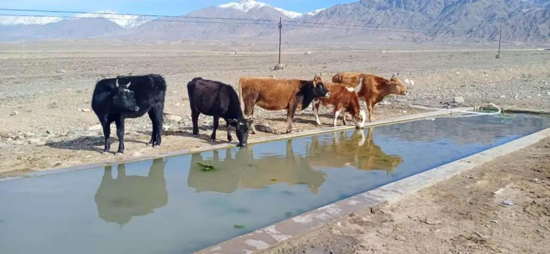 1607300208750650.jpg 1607300208750650.jpg